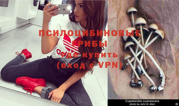 mdpv Покачи