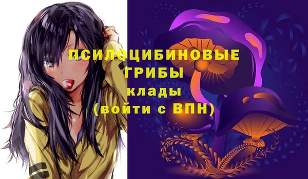 mdpv Покачи
